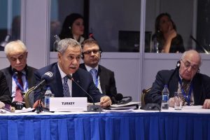 "T&uuml;rkiye Neo-Osmanlıcılık peşinde değil"