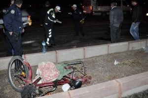 Bir aileden geriye bu kaldı