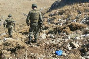 Siirt'te ter&ouml;r operasyonu