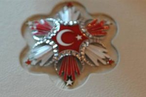 T.C.'siz Devlet Nişanı mahkemelik