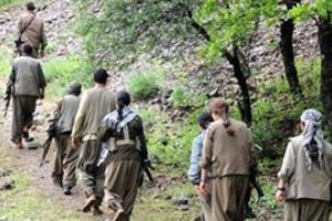 PKK'ya siyaset vizesi