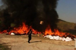Sahte ve taklit &uuml;r&uuml;nlerin sonu