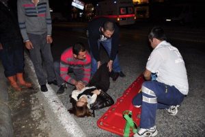 Yolun karşısına ge&ccedil;meye &ccedil;alışırken...