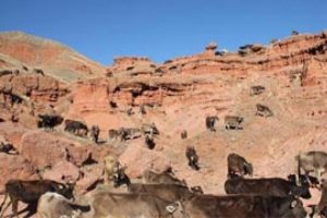 Turistleri kızdıran g&ouml;r&uuml;nt&uuml;!