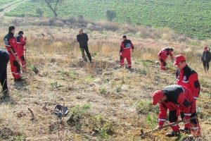 Sivil savunmacılar fidan dikti