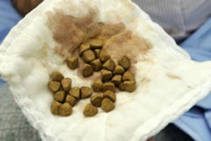 Doktorları şaşkına &ccedil;eviren g&ouml;r&uuml;nt&uuml;