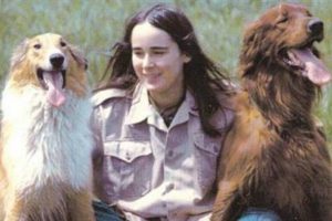 31 yavru k&ouml;pekle birlikte intihar etti