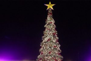 Norve&ccedil; Başbakanı Noel i&ccedil;in ağa&ccedil; kesti