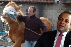 'Oğlum'u Bağış'a sattı