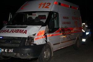 Ambulans ineğe &ccedil;arptı