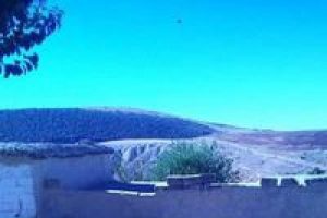 Adıyaman'da şok g&ouml;r&uuml;nt&uuml;