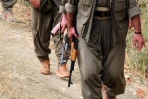 2 PKK'lı tutuklandı