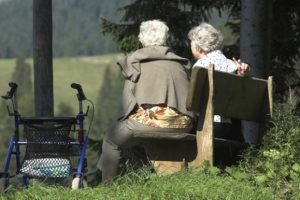 "Nane ve biberiye farelerde Alzheimer'ı geciktiriyor"