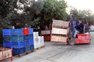 Zeytinciler yetkililere seslendi
