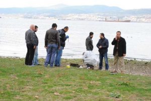 El bombaları f&uuml;nyeleri sahile vurdu