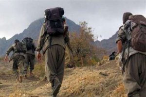 Şırnak'ta 9 Hakkari'de 1 ter&ouml;rist teslim oldu!