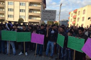 Bursa'da bu il&ccedil;e zehir sa&ccedil;an bacalar i&ccedil;in ayaklandı