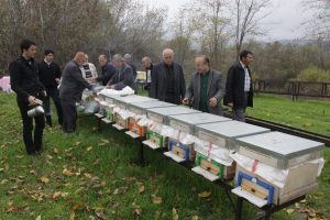 Bal rekoltesinde d&uuml;ş&uuml;ş var