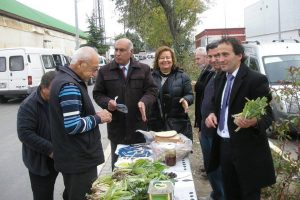 Enginarlı propaganda