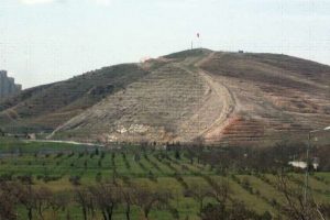 TSK ormanları yeniden hayat bulacak