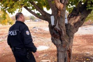 Ağa&ccedil; dalındaki yazıcıyı bomba sandılar