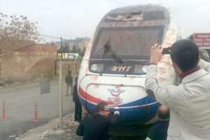 Hızlı tren kuş s&uuml;r&uuml;s&uuml;n&uuml; telef etti