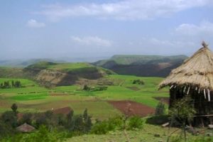 &Uuml;lkeler Afrika'da toprak kiralama yarışına girdi