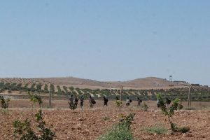 Suriye'ye ge&ccedil;meye &ccedil;alışan ka&ccedil;ak&ccedil;ı gruplara m&uuml;dahale
