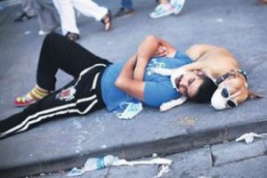 Gezi Parkı'nda &ouml;len hayvanlar i&ccedil;in dava