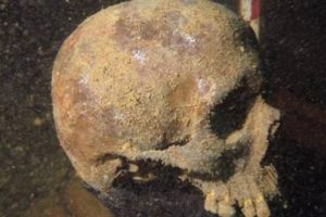 58 yıl sonra ortaya &ccedil;ıkan Nazi kafatası