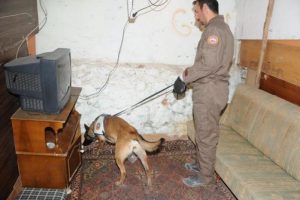 Uyuşturucu satıcıların darbe!