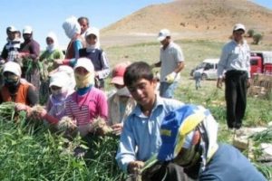 Mevsimlik işcilerin g&ouml;&ccedil; yolları haritalandırıldı
