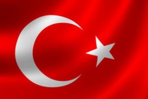 T&uuml;rkiye'ye olumlu cevap!