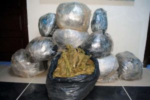 156 kilo esrar ele ge&ccedil;irildi