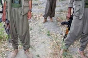 Hakkari'de 1 PKK'lı teslim oldu