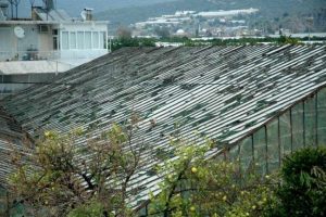 Seraları dolu vurdu