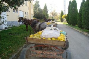 At arabalı hırsızlar jandarmadan ka&ccedil;amadı