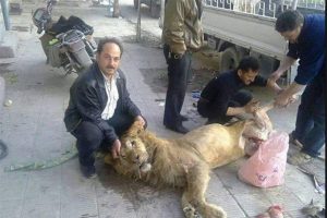 Kan donduran fotoğraf!