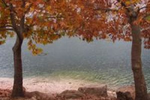 Fırat nehri kıyısında sonbahar