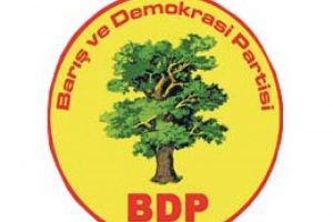 BDP'liler polise taşlarla saldırdı!
