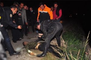 Pitbull dehşeti: 1 &ouml;l&uuml;