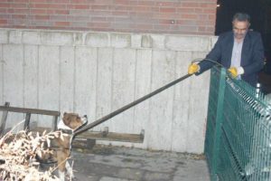 &Ccedil;ocukları korkutan k&ouml;pek cami avlusuna kapatıldı