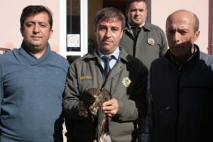 Yaralı şahin tedavi altına alındı