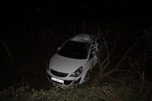 K&ouml;peğe &ccedil;arpmamak i&ccedil;in kaza yaptılar