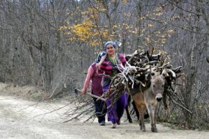 Kışa hazırlık yapıyorlar