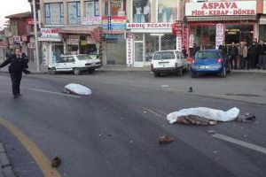 2 yayayı &ouml;ld&uuml;r&uuml;p ka&ccedil;maya &ccedil;alıştı