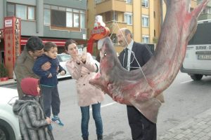 3 metrelik canavar şaşırttı...