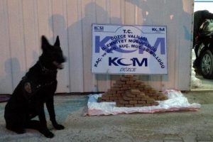 30 kilo esrar ele ge&ccedil;irildi