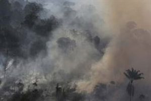 Hatay'da orman yangını