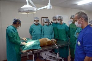 Barınakta &ouml;ğrencilere uygulamalı eğitim